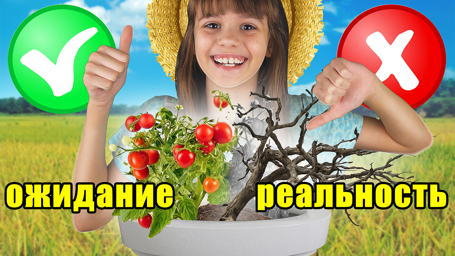 ПОМИДОРЧИК ИЗ КОРОБОЧКИ ? АГАТА КЛАСС смотреть онлайн