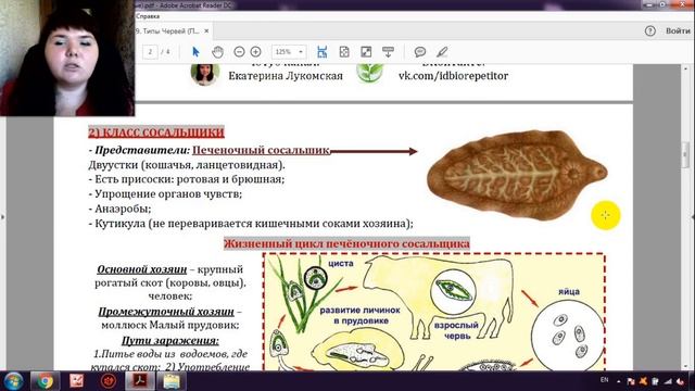 ЖИЗНЕННЫЙ ЦИКЛ ПЕЧЕНОЧНОГО СОСАЛЬЩИКА ЗА 7 МИНУТ (+ разбор заданий) смотреть онлайн