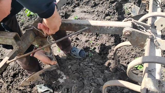 Т-40 окучивание картофеля + настройка культиватора междурядной обработки смотреть онлайн