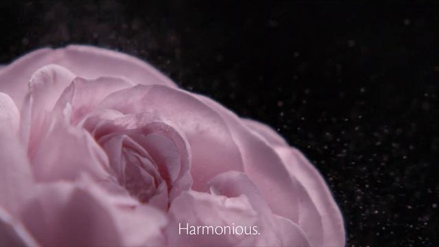 Clé de Peau Beauté Synactif - Five Amazing Products Working in Synergy смотреть онлайн