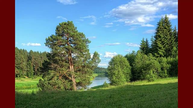 Санаторий митино