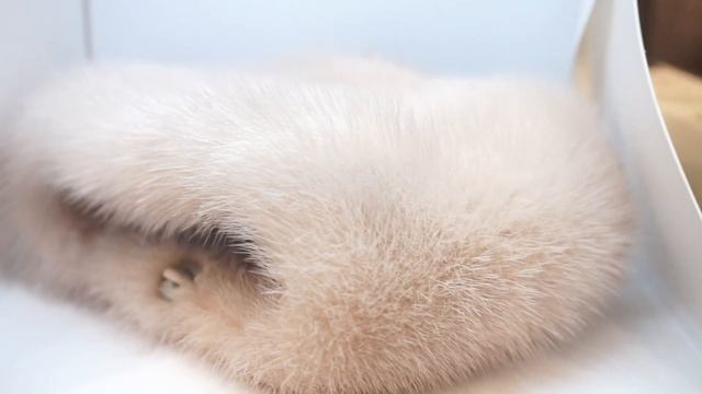 Виды меха | Bagira Fur смотреть онлайн