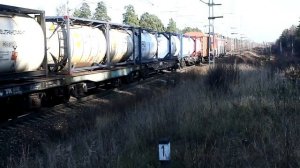 Поезда на Горьковском ходу Московской железной дороги. Большое разнообразие подвижного состава.