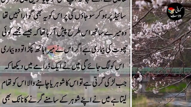 Mere Shohar ki Sabaq Amoz aur Dukhi Kahani - Sachi Kahaniyan | Kahani Dost #121 смотреть онлайн