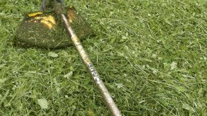 Бензотриммер чемпион