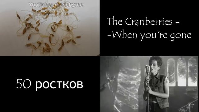 Влияние музыки на растения. Результаты эксперимента! смотреть онлайн