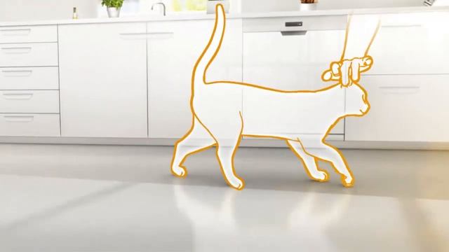 Советы Hill's: как избавить кошку от стресса? смотреть онлайн