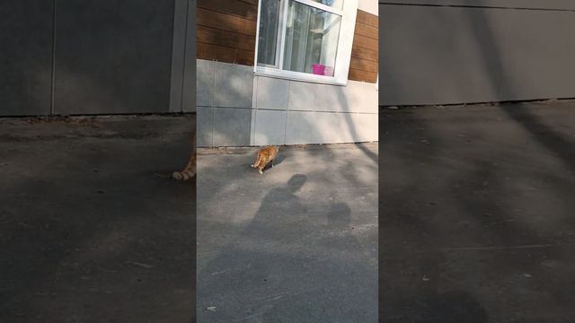 столовая санаторий озеро медвежье смотреть онлайн