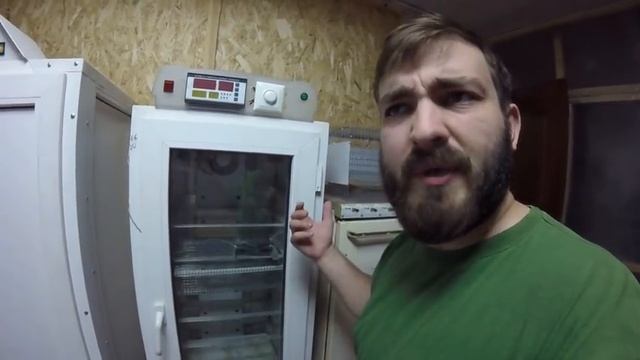 Продал первую клетку. Новые цыплята и индюшата. смотреть онлайн
