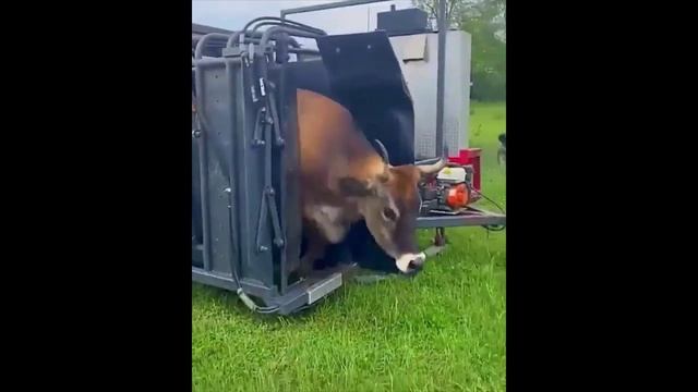 Так механизируют труд в сельском хозяйстве. Неожиданные решения смотреть онлайн