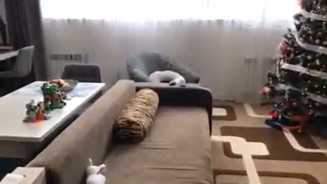 Продається Квартира 72 квадрата для сучасних і креативних! смотреть онлайн