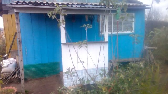 Гигантские яблоки: на маленькой яблони. смотреть онлайн