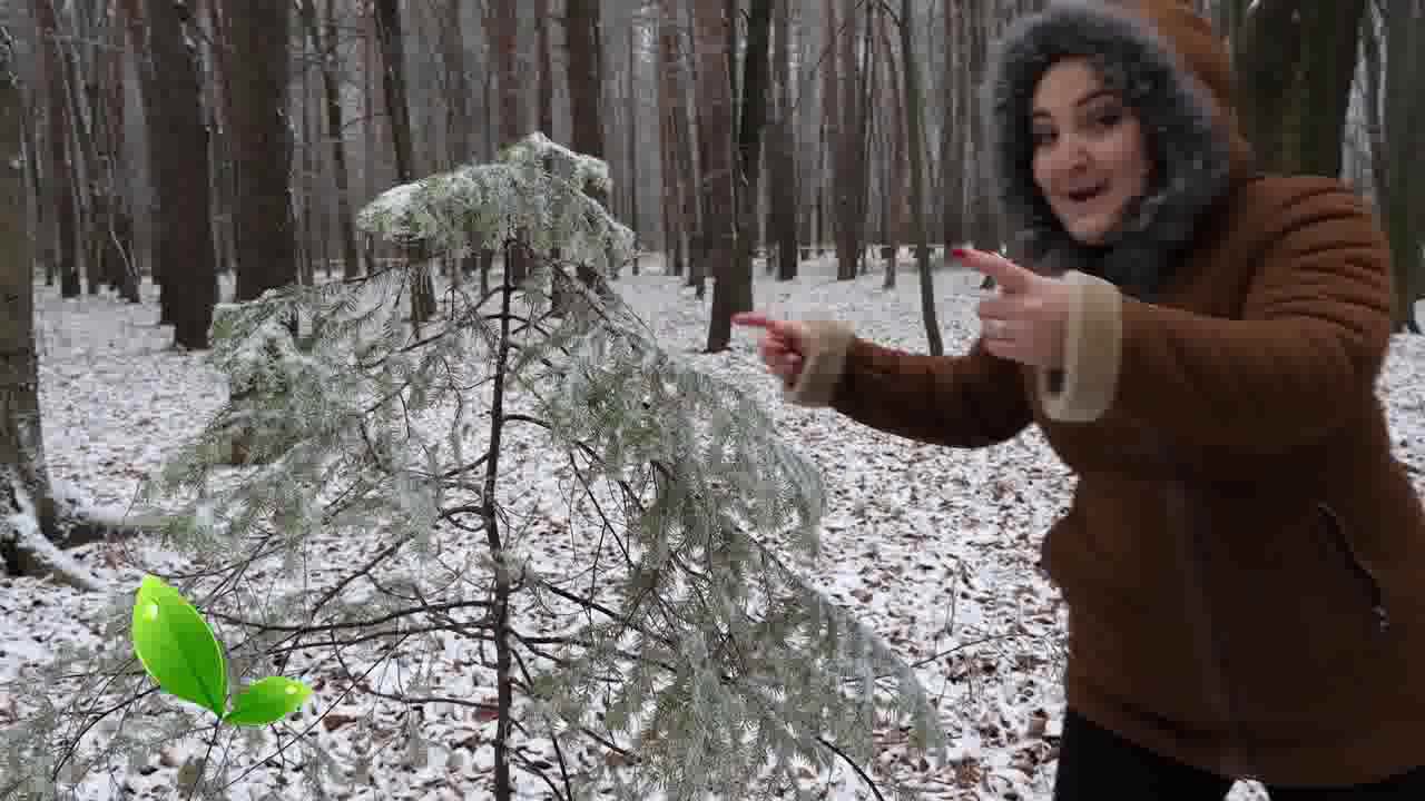 Кардаг(ТРАВЫ) НАЗ - ель смотреть онлайн