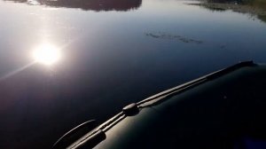 Парсун 2.6 барк 290 загрузки 100кг