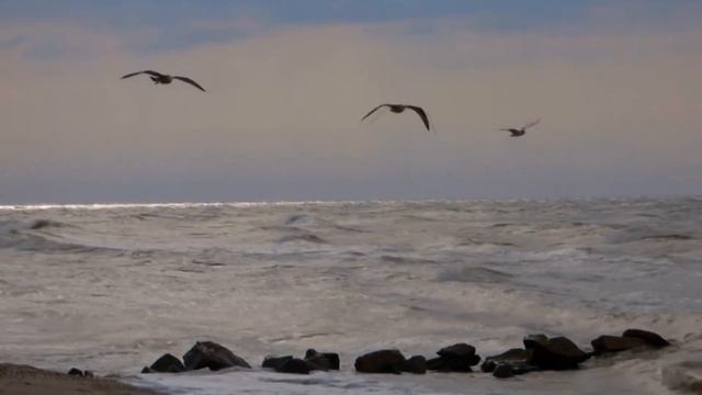 Медитация «Открой себя для отношений» смотреть онлайн