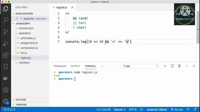 Logical Operators in JavaScript Tutorial. #indiastech #javascript #operators #&& &|| смотреть онлайн