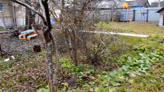 Навели порядок...дрова для бани...Рецепт шашлыка из рыбы...