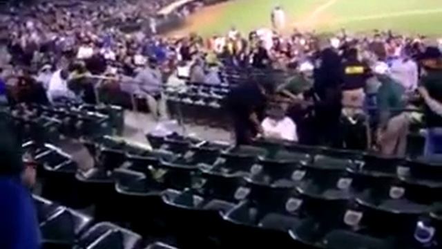 Epic Beard Man Tasered at Baseball Game смотреть онлайн