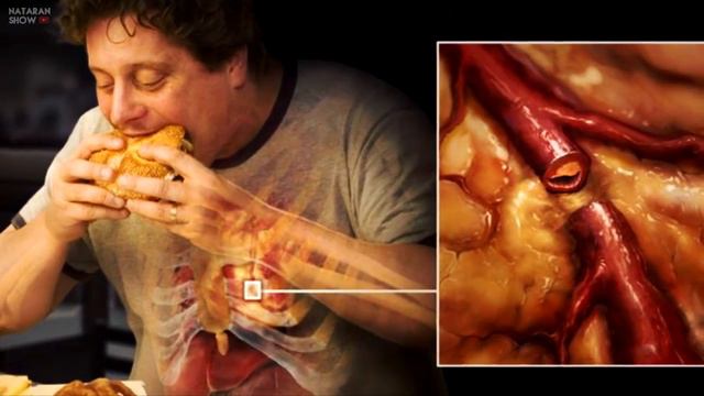 Что будет если... Животные будут есть фаст фуд смотреть онлайн