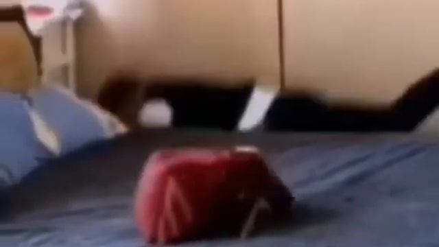 pov:Пришел домой после 8 урока.P S:😂 смотреть онлайн