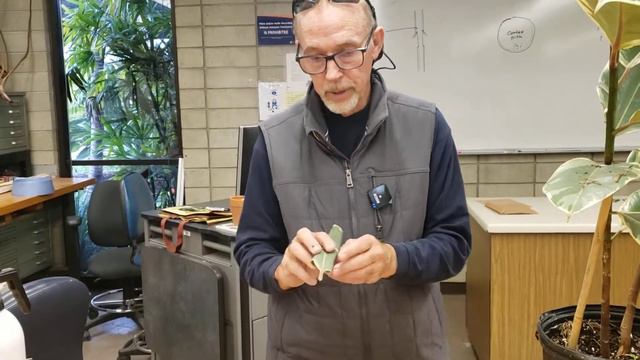 Tropical Propagation Whole leaf cuttings смотреть онлайн