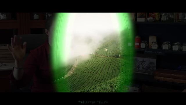 Улун - В чём фишка? Китайский чай для церемонии | Art of Tea, китайский чай смотреть онлайн