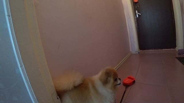 Покупки*Этап ремонта в ВАННОЙ*Повод поругаться с мужем смотреть онлайн