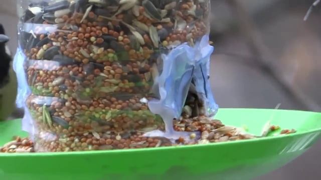 Кормушка для птиц своими руками. Покормите птиц зимой! смотреть онлайн