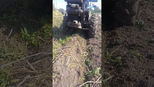 как реально копает китайская копалка на чернозёме Черниговщины. смотреть онлайн