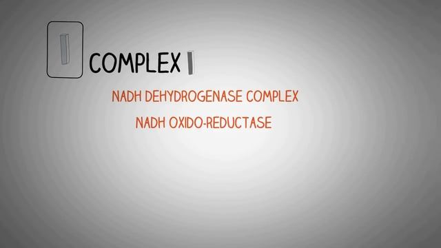 Electron Transport Chain ETC Made Easy.mp4 смотреть онлайн