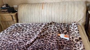 Делаю сама химчистку кровати, ковролина, мою окна средством для чистки ковров и обивки