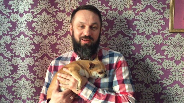 Лайфхаки от Мойдодыров смотреть онлайн