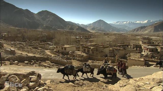 Urgan, child of the Himalaya I SLICE I Full documentary смотреть онлайн