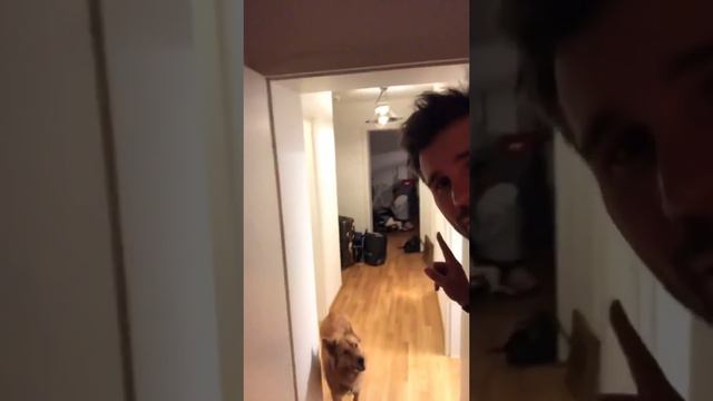 THORE 17- 20. 12. 2018 смотреть онлайн