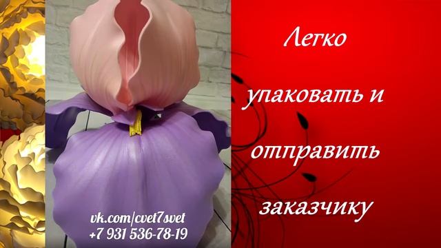 МК Ирис из изолона смотреть онлайн