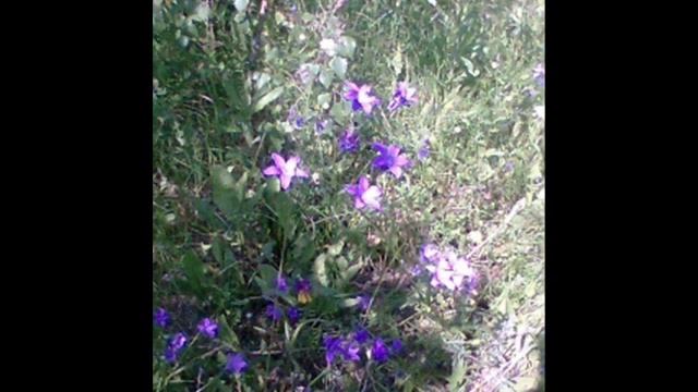 Мир моих увлечений смотреть онлайн