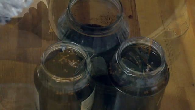 Ржаной квас | Квас на закваске | Как в детстве смотреть онлайн