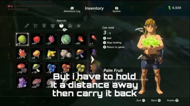 The Magic Hole glitch Breath of the Wild смотреть онлайн