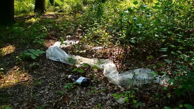 Waste Issues Mtskheta-Mtianeti смотреть онлайн