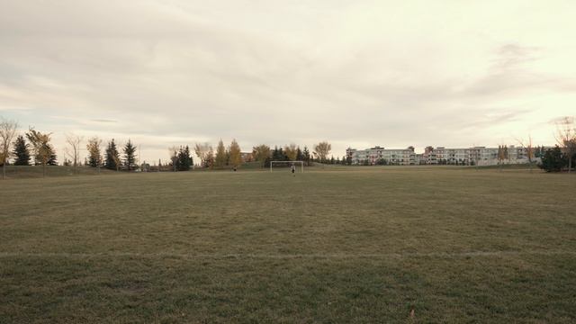 Comica VM30 - Wireless Shotgun Mic For Content Creators & Filmmakers смотреть онлайн