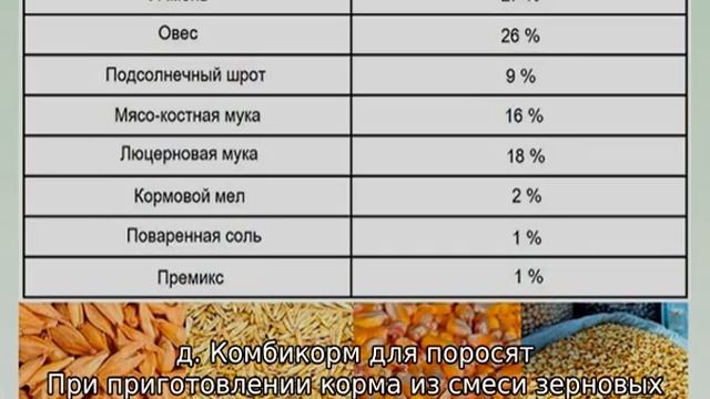 Чем кормить вьетнамских поросят смотреть онлайн