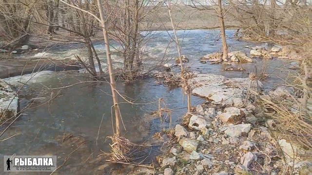 РЕКА ПРОНЯ. 10 АПРЕЛЯ 2023 смотреть онлайн