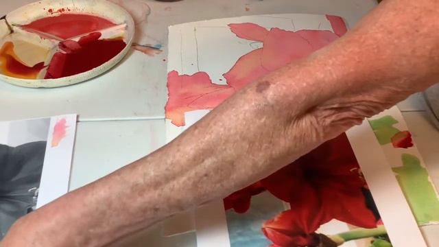 Red Amaryllis part one смотреть онлайн