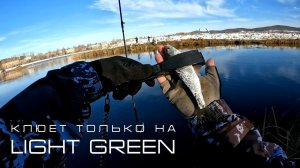 Подбираем ключик к капризной мирной рыбе. Мормышинг