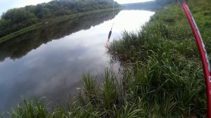 РЫБАЛКА на ПОПЛАВОК в ПРОВОДКУ на БЫСТРОМ ТЕЧЕНИИ! Река ДОН!