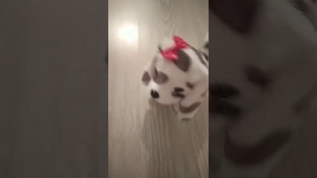 30 июня 2022 г. смотреть онлайн