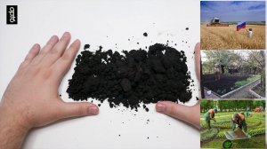 Полный обзор на Торф низинный. Материал для обогащения бедной почвы