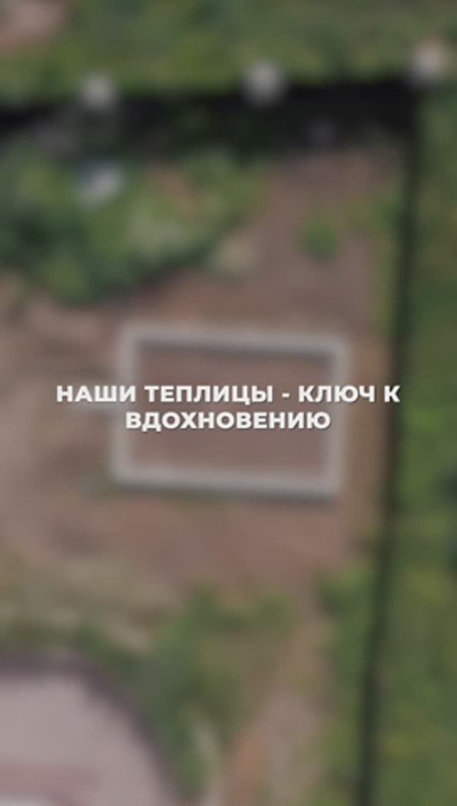 Наши теплицы - ключ к вдохновению
#теплица #участок #сад смотреть онлайн