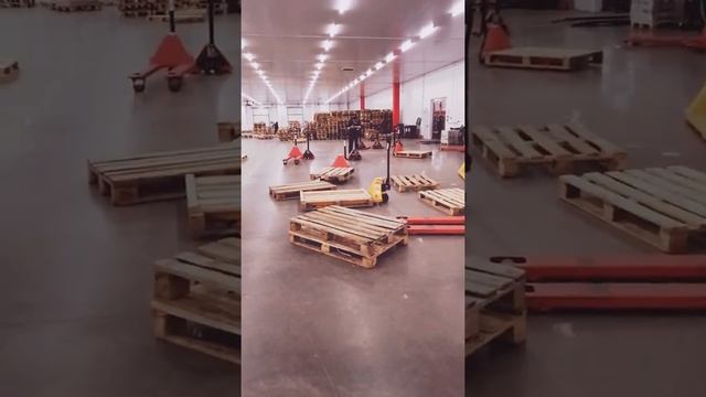 Когда у всех есть самокат,а у тебя нет смотреть онлайн