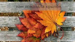 Осень рыжая кошка